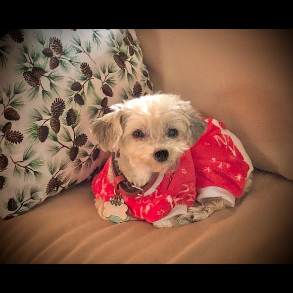 Meet your posher- John (aka whocaresdamnit) - Picture 4 of 14